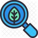 Leaf Search  Icon