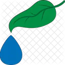 Leaf Water Droplets Nature Icon