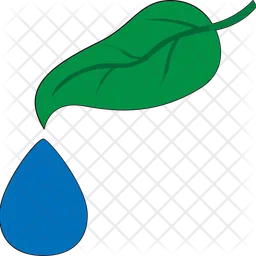 Leaf  Icon