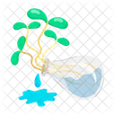 Herb Stickers Herbal Therapy Herbal Remedies Icon