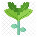 Leaf Vegetable  Icon