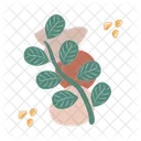 Leaf And Flower Leaf Flower Icon