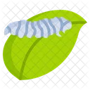 Leaf Worm  Icon