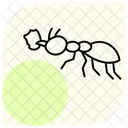 Leafcutter Insect Tropical Icon