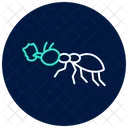 Leafcutter Insect Tropical Icon