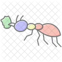 Leafcutter Insect Tropical Icon