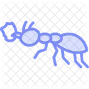 Leafcutter Insect Tropical Icon