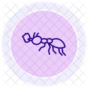 Leafcutter Insect Tropical Icon