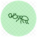 Leafcutter Insect Tropical Icon