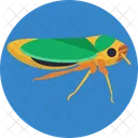 Leafhopper Insect Bugs Icon