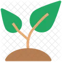 나뭇잎 에코 잎 아이콘