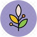 Leafs Leafy Plants Icon