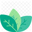 잎 건강 유기농 아이콘