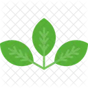 잎 식물 자연 아이콘