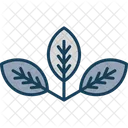 Leafs Plant Nature Icon