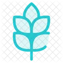 Leaf's  Icon
