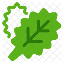 Leafy Green Vegetable Nutrition Icon