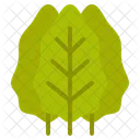 Leafy greens  Icon