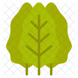 Leafy greens  Icon