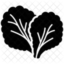 Leafy  Icon