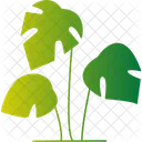 Leafy Plant Green Foliage Plant Growth Icon