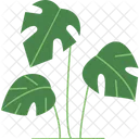 Leafy Plant Green Foliage Plant Growth Icon