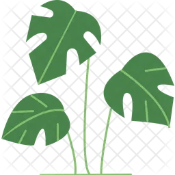 Leafy Plant  Icon