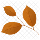 Leafy Twig Leaves Autumn Leaf Icon