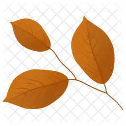 Leafy Twig  Icon