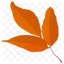 Leafy Twig Autumn Leaves Leaf In Fall Icon