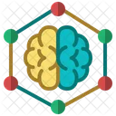 Learning Brainstorm Knowledge Icon