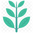 Leave Leaf Nature Icon