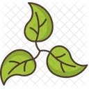 Leaves Branch Nature Icon