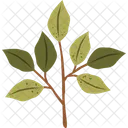 Forest Element Green Plant Icon