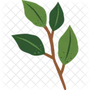 Forest Element Green Plant Icon