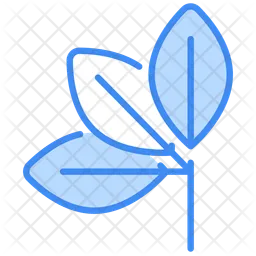 Leaves  Icon