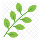 Nature Green Leaf Icon
