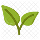 Leaves Leaflets Ecology Icon