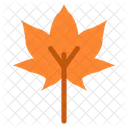 Leaves Nature Green Icon
