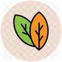 Leaves Plant Tree Icon