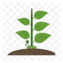 Leaves Plant Icon