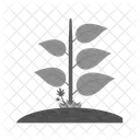 Leaves Plant Tree Icon