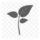 Leaves Plant Icon