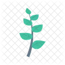 Leaves Leaf Ecology Icon