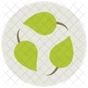 Leaves Plant Greenery Icon