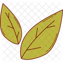 Leaves Nature Green Icon