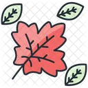 Leaves  Icon