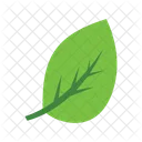 Eco Leaves Nature Icon