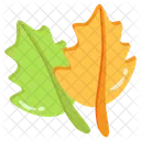 Leaves Foliage Leafage Icon