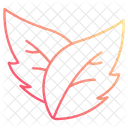 Leaves  Icon